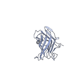 26385_7u8o_c_v1-2
Structure of porcine V-ATPase with mEAK7 and SidK, Rotary state 2