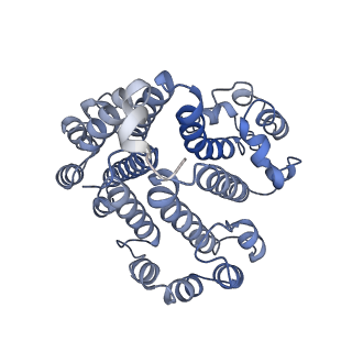 26385_7u8o_d_v1-2
Structure of porcine V-ATPase with mEAK7 and SidK, Rotary state 2