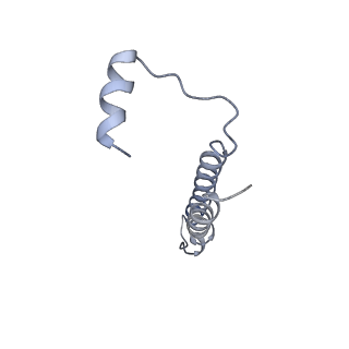 26385_7u8o_e_v1-2
Structure of porcine V-ATPase with mEAK7 and SidK, Rotary state 2