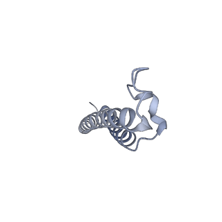 26385_7u8o_f_v1-1
Structure of porcine V-ATPase with mEAK7 and SidK, Rotary state 2
