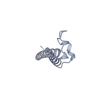 26385_7u8o_f_v1-2
Structure of porcine V-ATPase with mEAK7 and SidK, Rotary state 2