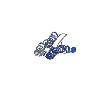 26385_7u8o_g_v1-2
Structure of porcine V-ATPase with mEAK7 and SidK, Rotary state 2