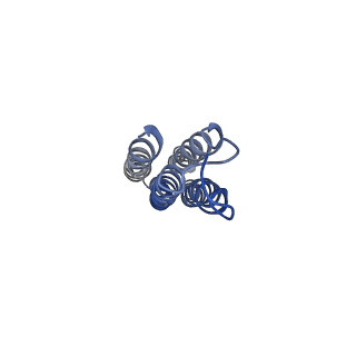 26385_7u8o_h_v1-2
Structure of porcine V-ATPase with mEAK7 and SidK, Rotary state 2