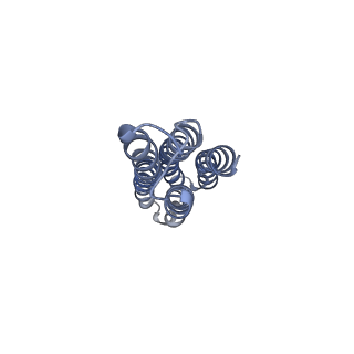 26385_7u8o_l_v1-1
Structure of porcine V-ATPase with mEAK7 and SidK, Rotary state 2