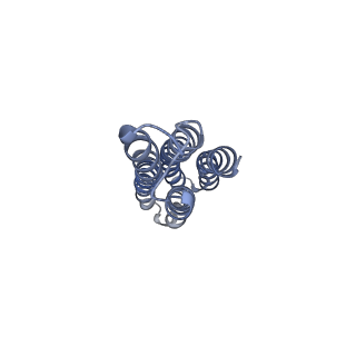 26385_7u8o_l_v1-2
Structure of porcine V-ATPase with mEAK7 and SidK, Rotary state 2