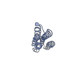 26385_7u8o_m_v1-1
Structure of porcine V-ATPase with mEAK7 and SidK, Rotary state 2