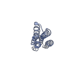 26385_7u8o_m_v1-2
Structure of porcine V-ATPase with mEAK7 and SidK, Rotary state 2
