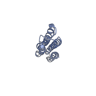 26385_7u8o_n_v1-1
Structure of porcine V-ATPase with mEAK7 and SidK, Rotary state 2