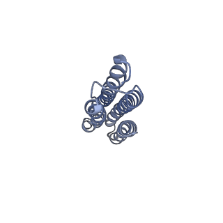 26385_7u8o_n_v1-2
Structure of porcine V-ATPase with mEAK7 and SidK, Rotary state 2