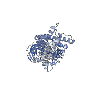 26386_7u8p_A_v1-1
Structure of porcine kidney V-ATPase with SidK, Rotary State 1