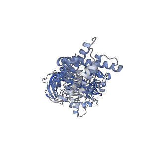 26386_7u8p_A_v1-2
Structure of porcine kidney V-ATPase with SidK, Rotary State 1