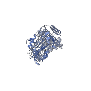 26386_7u8p_B_v1-2
Structure of porcine kidney V-ATPase with SidK, Rotary State 1