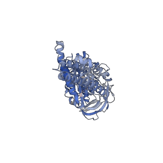 26386_7u8p_C_v1-1
Structure of porcine kidney V-ATPase with SidK, Rotary State 1