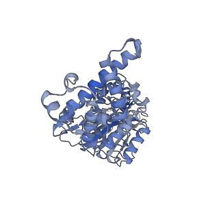 26386_7u8p_D_v1-2
Structure of porcine kidney V-ATPase with SidK, Rotary State 1