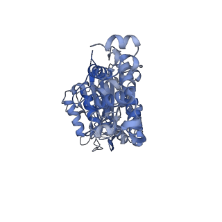 26386_7u8p_E_v1-1
Structure of porcine kidney V-ATPase with SidK, Rotary State 1