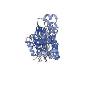 26386_7u8p_E_v1-2
Structure of porcine kidney V-ATPase with SidK, Rotary State 1