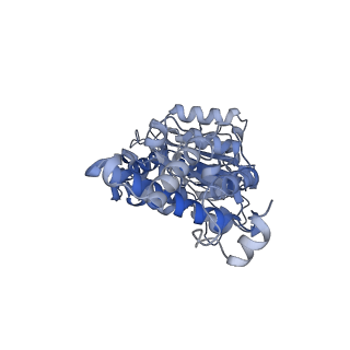 26386_7u8p_F_v1-1
Structure of porcine kidney V-ATPase with SidK, Rotary State 1