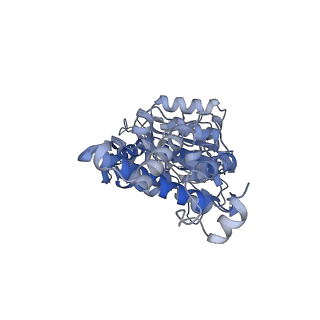 26386_7u8p_F_v1-2
Structure of porcine kidney V-ATPase with SidK, Rotary State 1