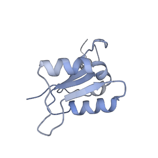 26386_7u8p_L_v1-1
Structure of porcine kidney V-ATPase with SidK, Rotary State 1