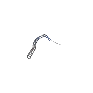 26386_7u8p_N_v1-2
Structure of porcine kidney V-ATPase with SidK, Rotary State 1