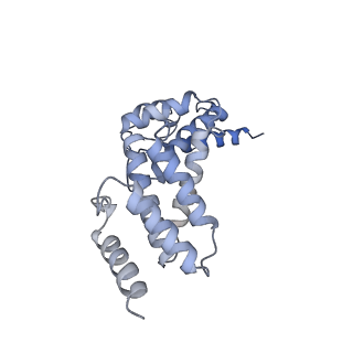 26386_7u8p_Q_v1-1
Structure of porcine kidney V-ATPase with SidK, Rotary State 1