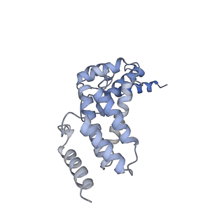 26386_7u8p_Q_v1-2
Structure of porcine kidney V-ATPase with SidK, Rotary State 1