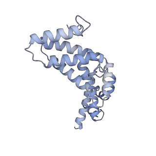 26386_7u8p_R_v1-1
Structure of porcine kidney V-ATPase with SidK, Rotary State 1