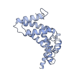 26386_7u8p_R_v1-2
Structure of porcine kidney V-ATPase with SidK, Rotary State 1