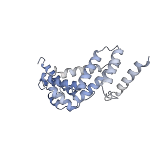 26386_7u8p_S_v1-1
Structure of porcine kidney V-ATPase with SidK, Rotary State 1