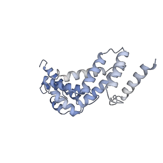 26386_7u8p_S_v1-2
Structure of porcine kidney V-ATPase with SidK, Rotary State 1