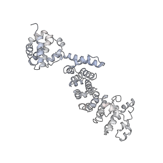 26386_7u8p_T_v1-1
Structure of porcine kidney V-ATPase with SidK, Rotary State 1