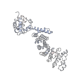 26386_7u8p_T_v1-2
Structure of porcine kidney V-ATPase with SidK, Rotary State 1