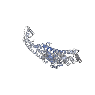 26386_7u8p_a_v1-1
Structure of porcine kidney V-ATPase with SidK, Rotary State 1
