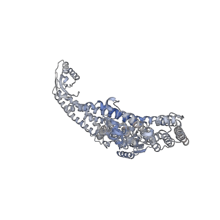 26386_7u8p_a_v1-2
Structure of porcine kidney V-ATPase with SidK, Rotary State 1