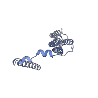 26386_7u8p_b_v1-1
Structure of porcine kidney V-ATPase with SidK, Rotary State 1