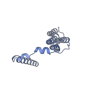 26386_7u8p_b_v1-2
Structure of porcine kidney V-ATPase with SidK, Rotary State 1