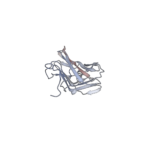 26386_7u8p_c_v1-2
Structure of porcine kidney V-ATPase with SidK, Rotary State 1