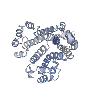 26386_7u8p_d_v1-1
Structure of porcine kidney V-ATPase with SidK, Rotary State 1