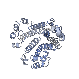 26386_7u8p_d_v1-2
Structure of porcine kidney V-ATPase with SidK, Rotary State 1