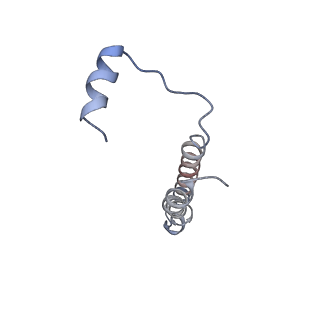 26386_7u8p_e_v1-1
Structure of porcine kidney V-ATPase with SidK, Rotary State 1