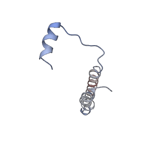 26386_7u8p_e_v1-2
Structure of porcine kidney V-ATPase with SidK, Rotary State 1