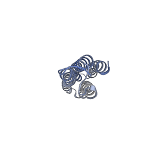 26386_7u8p_h_v1-2
Structure of porcine kidney V-ATPase with SidK, Rotary State 1