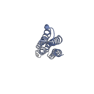 26386_7u8p_j_v1-2
Structure of porcine kidney V-ATPase with SidK, Rotary State 1