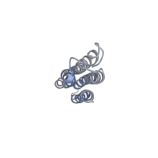 26386_7u8p_k_v1-1
Structure of porcine kidney V-ATPase with SidK, Rotary State 1