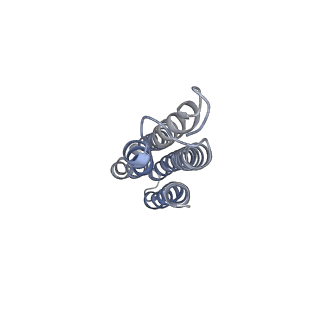 26386_7u8p_k_v1-2
Structure of porcine kidney V-ATPase with SidK, Rotary State 1