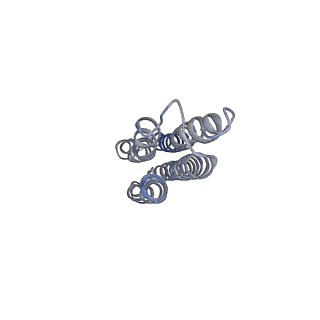 26386_7u8p_l_v1-1
Structure of porcine kidney V-ATPase with SidK, Rotary State 1