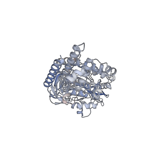 26387_7u8q_A_v1-2
Structure of porcine kidney V-ATPase with SidK, Rotary State 2