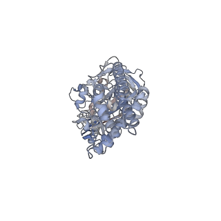26387_7u8q_B_v1-1
Structure of porcine kidney V-ATPase with SidK, Rotary State 2