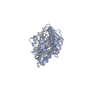 26387_7u8q_B_v1-2
Structure of porcine kidney V-ATPase with SidK, Rotary State 2