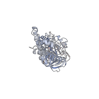 26387_7u8q_C_v1-1
Structure of porcine kidney V-ATPase with SidK, Rotary State 2